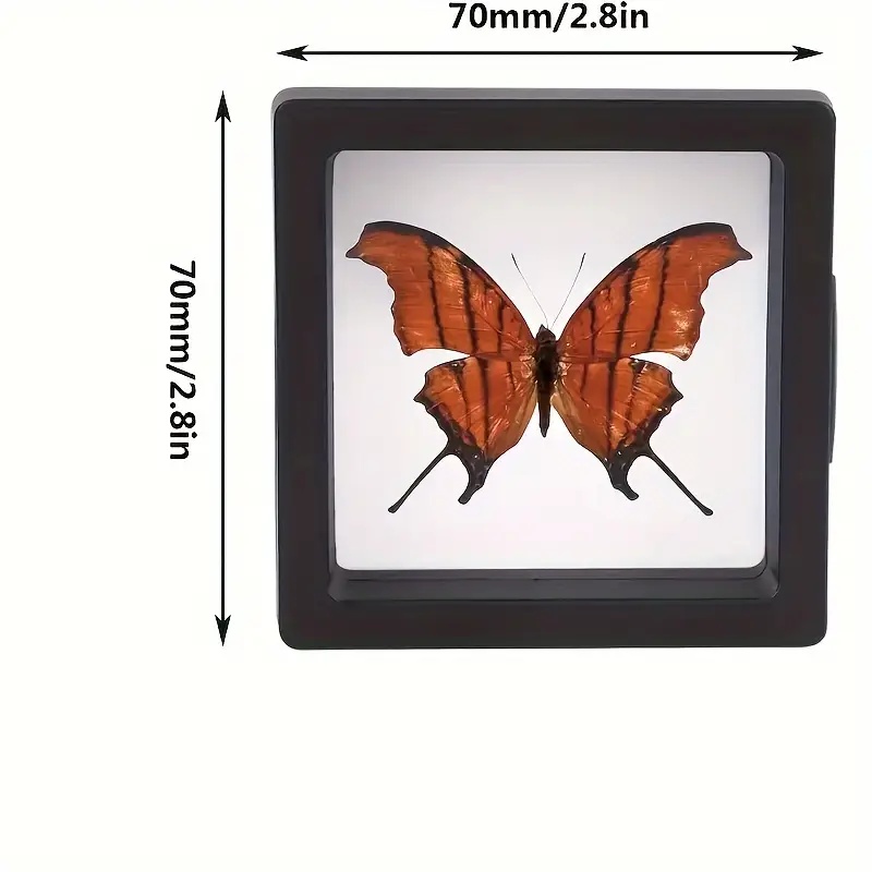 20 ชิ้น Clearview 3D ลอยจอแสดง - Jewelry Making Organizer Box บทวิจารณ์และราคา